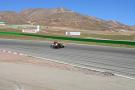 gal/Willow-April-13/_thb_CP__4599.JPG
