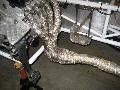 gal/becker-fabrication/_thb_IMG_2159.JPG
