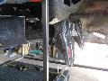 gal/sidecar-sim/_thb_IMG_2372.JPG